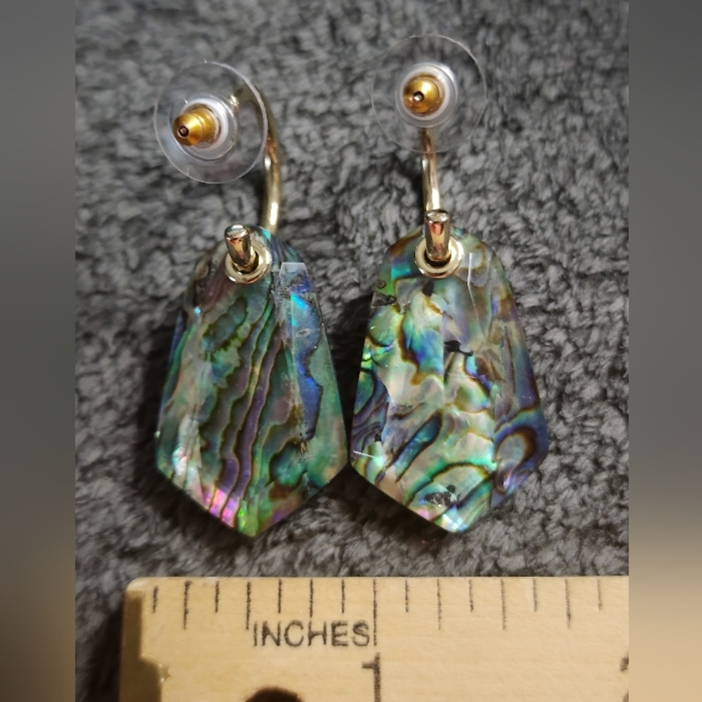 Abalone Shell Dangle Earrings - Picture 6 of 10